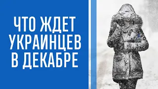 Погода на декабрь: что ждет украинцев в начале зимы