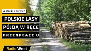 Przez 8 lat atakowali Lasy Państwowe. Teraz nadchodzi rewolucja, Konsekwencje dla nas będą tragiczne