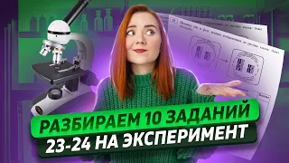 Разбираем 10 заданий 23-24 на эксперимент | Биология ЕГЭ 2023 | Умскул