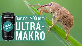 Das neue 90 mm Ultra-Makroobjektiv (M.ZUIKO 90mm) von OM System im Praxistest