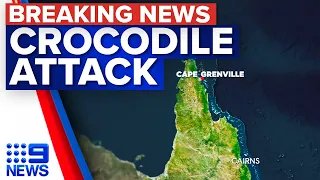 Crocodile attack off remote island in Far North Queensland | 9 News Australia