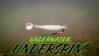 Amazing Underwater Footage of 10 Underspins and Swimbaits!!