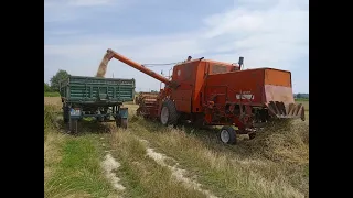 10 ton z hektara czy z dwóch ? Jęczmień vs BIZON z050 czyli żniwa 2k23 oczami kombajnisty