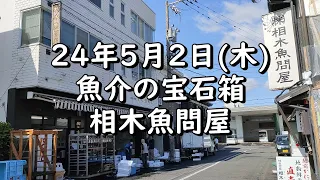 【潜入】魚介の宝石箱 相木魚問屋