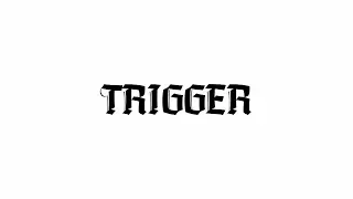 Програма журналістських розслідувань "TRIGGER"