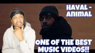 BRITISH REACTION TO SWEDISH RAP FT. HAVAL - ANIMAL 🇸🇪🇬🇧