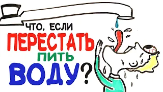 Что, если перестать пить воду? [AsapSCIENCE]