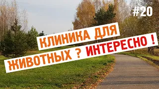 Завидово #20 - КЛИНИКА для животных ? Деревне ? ИНТЕРЕСНО !