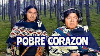 Traditional | Music | Quena | Zampoña | Pobre Corazon