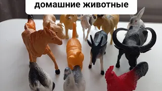 Обзор на фигурки домашних животных