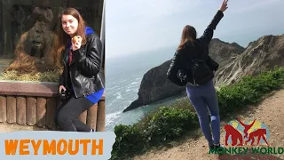 Visiting Monkey World And Sea Life In Dorset | April 2018