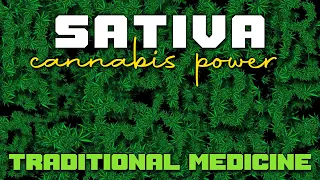 Sativa Cannabis Power | Traditional Medicine | Dub Electro Playlist Frattal Video HD