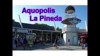 Aquopolis- Costa Dourada- La Pineda 2019. Аквапарк, Шоу дельфинов!