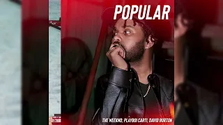 The Weeknd, Madonna, Playboi Carti, David Burton - Popular (Remix)