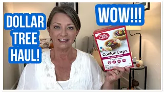 DOLLAR TREE HAUL | WOW | Name Brands | $1.25 | I LOVE THE DT 😁