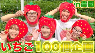 【歳の差10個】いちご100個食べるまで帰れない企画したら年齢感じた...【告白あり】