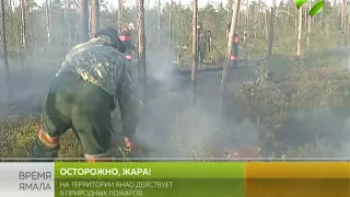 Осторожно, жара! На Ямале действует 9 природных пожаров