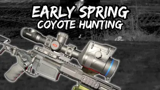 Early Spring Coyote Hunting | Thermal Coyote Hunting Pulsar XG50 LRF