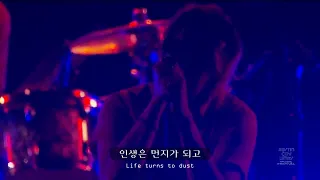 [요청/가사]The Strokes - Machu Picchu(live)