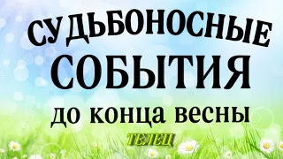 🔴 ТЕЛЕЦ,♉️, ТРИ СУДЬБОНОСНЫХ ☘️ СОБЫТИЯ до конца 🌷ВЕСНЫ, таро,таро расклад,анназверева таро,