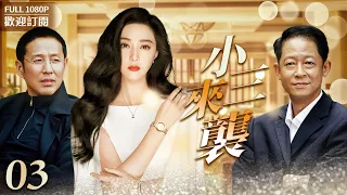 《小三來襲》EP 3王志文婚內出軌，梅婷不慌不忙的提出離婚，王志文 陳道明兩大影帝攜手出演......（#王志文#陈道明#梅婷#范冰冰 ）