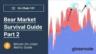 Bitcoin Bear Market Survival Guide Part 2 - Spotting Undervaluation (Bitcoin Onchain Analysis 101)