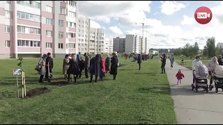В Слониме появилась аллея "За мир и Беларусь"