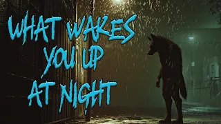 What Wakes You at Night