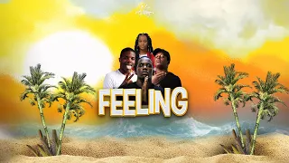 Feeling - Nz Gang [VIDEO LYRICS]