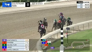 Gulfstream Park Carrera 8 (The Florida Sire Stakes Dr. Fager) - 9 de Septiembre 2023