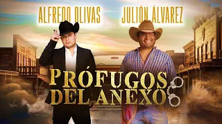 Profugos Del Anexo - Julión Álvarez y Alfredo Olivas "En las buenas y en las malas"