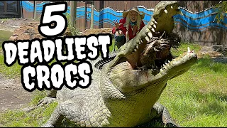 Top 5 Deadliest Crocodiles!!