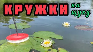 Рыбалка на кружки. Ловля щуки на кружки летом. Кружки Азор фишинг отзыв и испытания на рыбалке