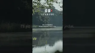 应粉丝要求，《成都》女声版制作完成！磁性的嗓音听哭了多少有故事的人……