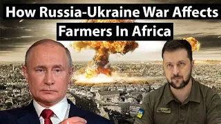 The Impact Of The Russia -Ukraine War On Farmers In Africa