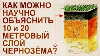 Soils of Russia. What scientists are silent about