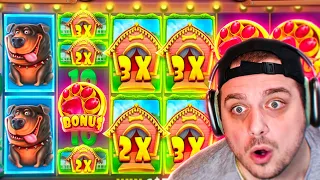 Is Dog House Megaways STILL AN INSANE SLOT? (Bonus Buys)