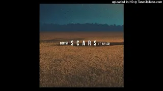 Cottsii ft Kayler - Scars ( Tiktok Version)
