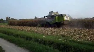 Gavazzoni Claas Lexion 580 - Soncino CR -