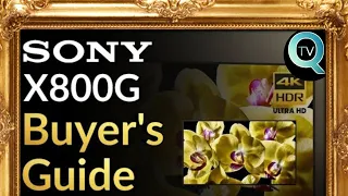 Sony X800G Buyer's Guide |QTV Podcast