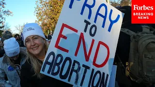 GOP Senator Praises Pro-Life Protesters Gathered At SCOTUS Hoping Roe V. Wade Will Be Overturned