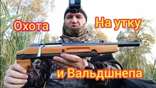 охота на утку и вальдшнепа # ружьё#Тоз 106#