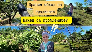 Хайде с нас да обиколим градината и да видим какви проблеми имаме🌳🌸☘️