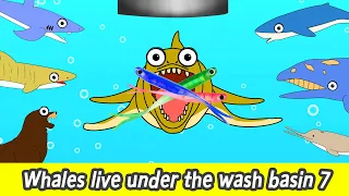 Whales live under the wash basin 7, kids animals animation, whales adventureㅣCoCosToy