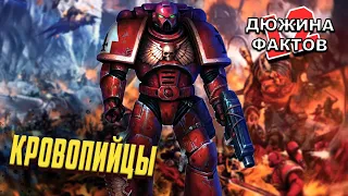 12 Фактов Кровопийцы / Упоротые Ордена Warhammer 40000