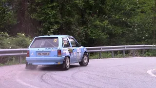 Rally Valli Cuneesi Storico | 2024 Show and Pure sound