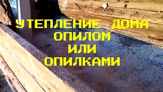 Как Утеплить дом опилом или ОПИЛКАМИ 2 - процесс, личный опыт