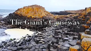 Exploring the Giant's Causeway, Dunluce Castle, Carrick-a-Rede, The Dark Hedges, Northern Ireland.