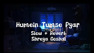 Humein Tumse Pyar Kitna ( Slow + Reverb ) Shreya Goshal By Aesthetic Vibes