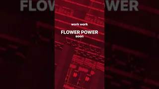 CAKEBOY – FLOWER POWER ( New snippet )